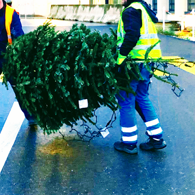 Es weihnachtet sehr ?